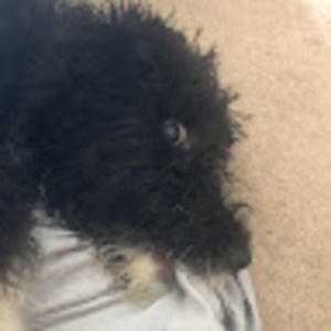 Meet your Posher, Monde des saturn